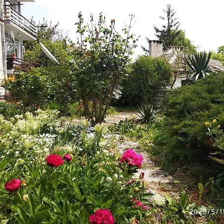 Appartement деспина Baltsjik